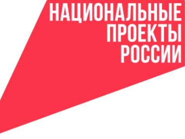 национальные проекты России.